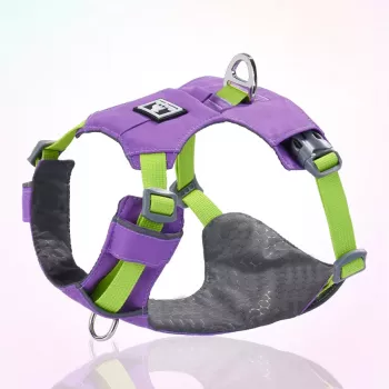 Ultra-Light Breathable No-Pull Dog Harness (Small/Medium)